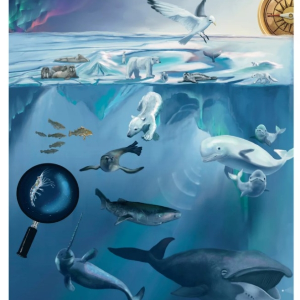 ilustrace tajemství moří a oceánů ilustrace tajemství moří a oceánů